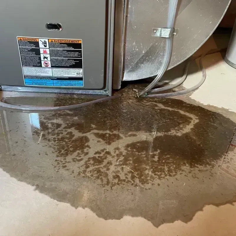 Appliance Leak Cleanup in Meridian, CO